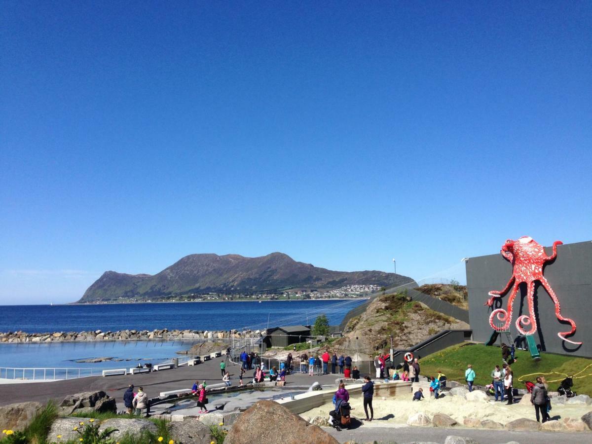 Four Monkeys Ålesund